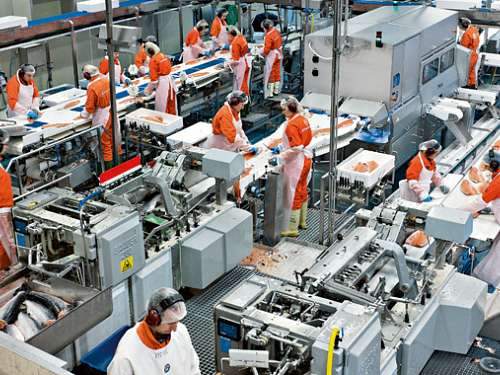 A factory with workers on the machines processing food