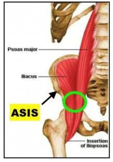 Hip flexors 2