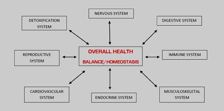 systems diagram