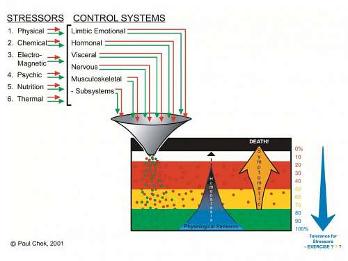 stress diagram